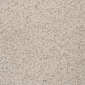 Textured Saxony Refined Brown Carpet
