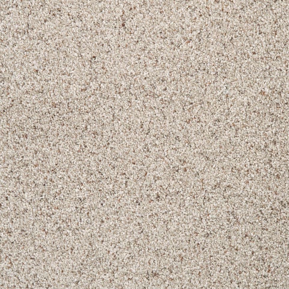Textured Saxony Refined Brown Carpet