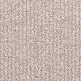 Loop Stylish Beige/Tan Carpet