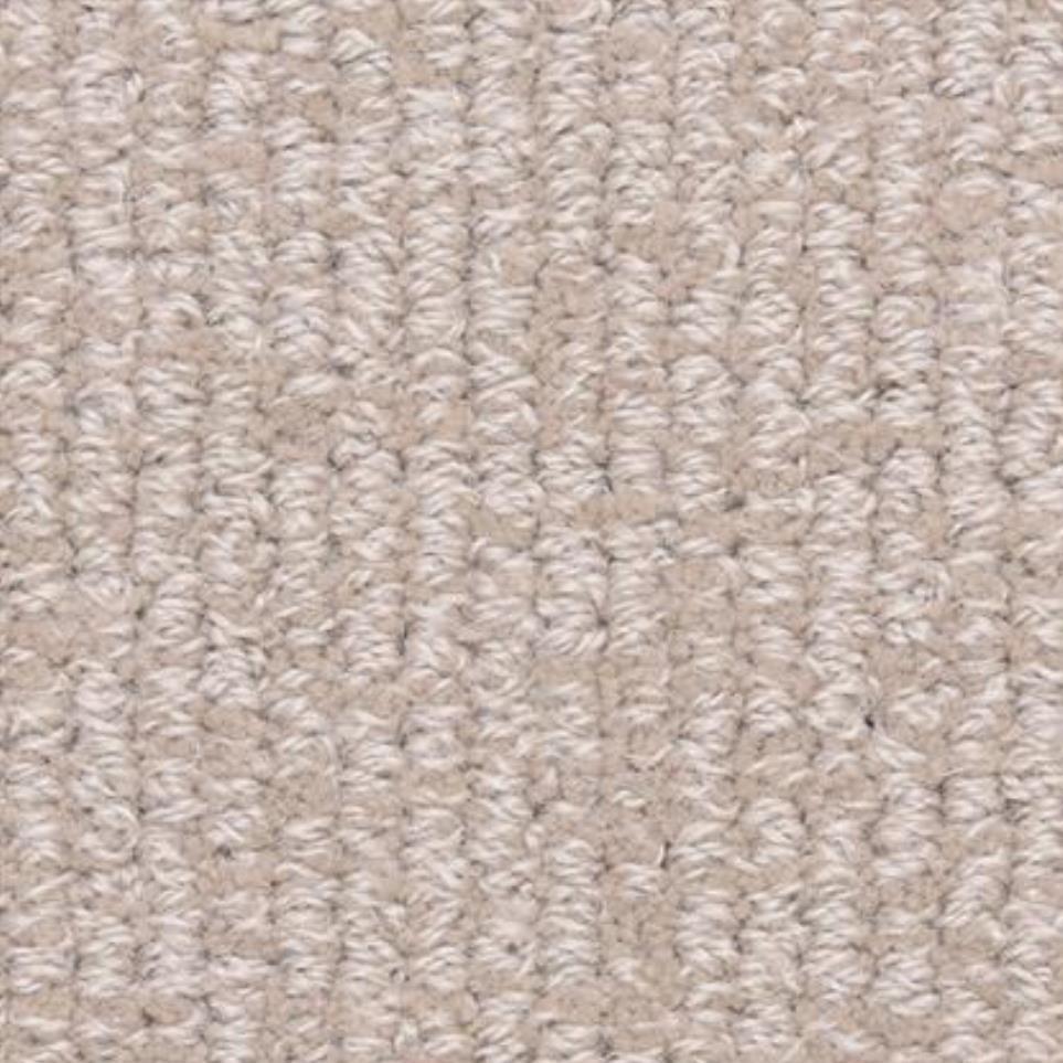 Loop Stylish Beige/Tan Carpet