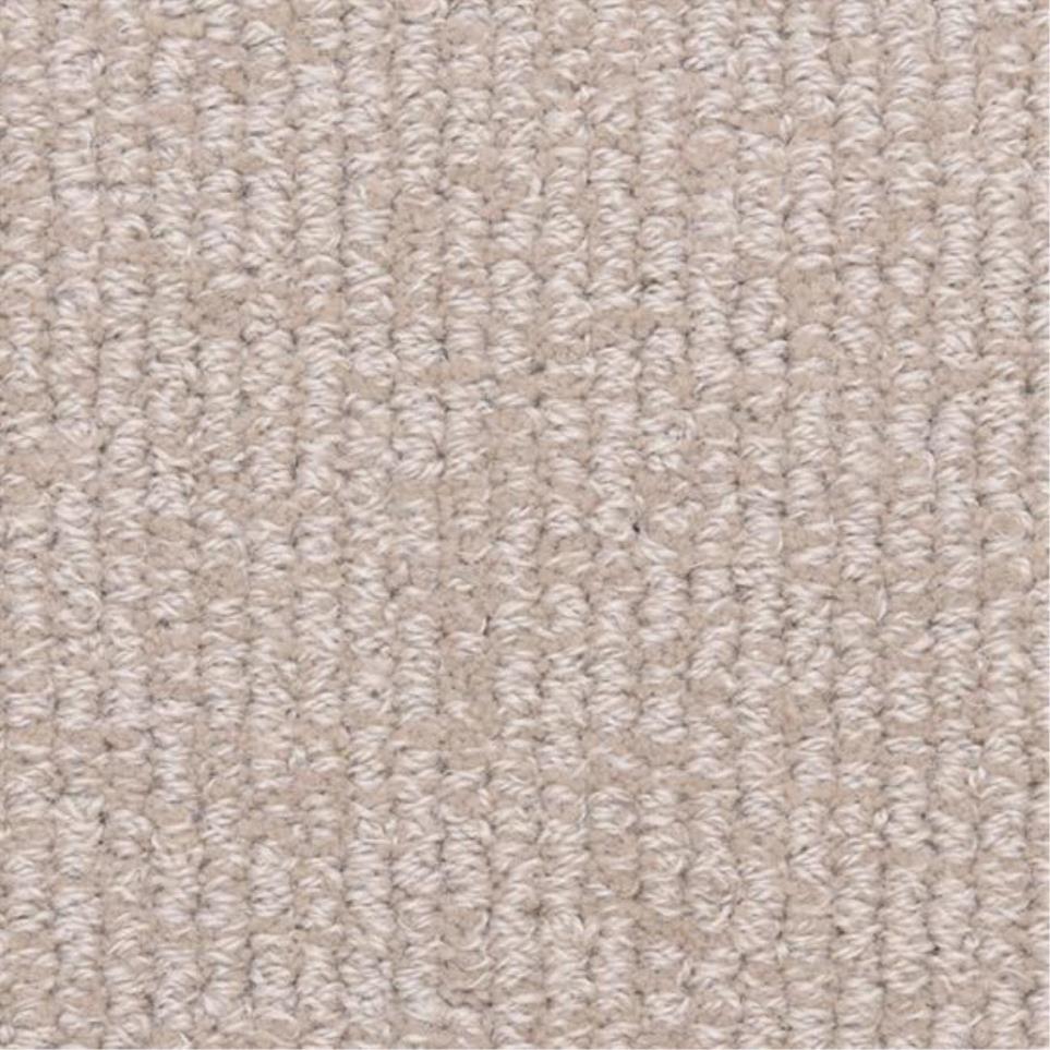 Loop Stylish Beige/Tan Carpet