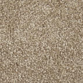 Textured Saxony Mysterious Beige/Tan Carpet