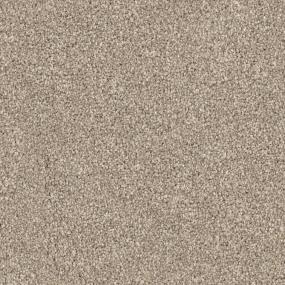 Textured Saxony Shar-Pei Brown Carpet