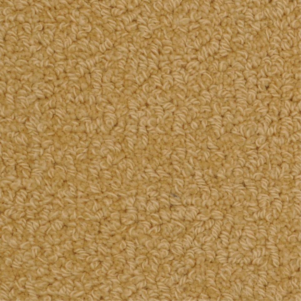 Loop Newport Beige/Tan Carpet