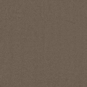 Textured Saxony Native Soil Brown Carpet