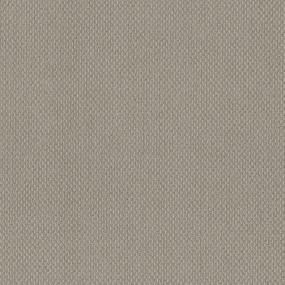 Loop Coastal Fog Beige/Tan Carpet