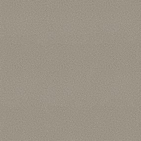 Plush Saxony Trade Winds Beige/Tan Carpet