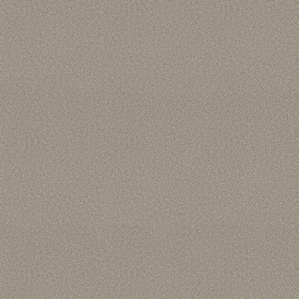 Plush Saxony Trade Winds Beige/Tan Carpet