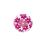 Pink Flower