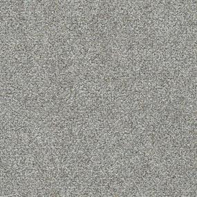 Textured Saxony Unity Gray Carpet