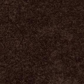 Textured Saxony Chocolate Brown Carpet