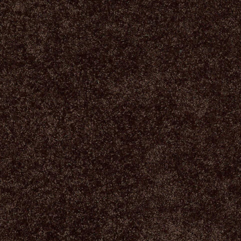 Textured Saxony Chocolate Brown Carpet