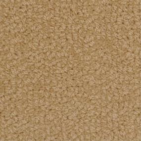 Loop Savage Beige/Tan Carpet