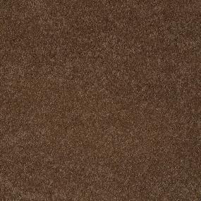 Textured Saxony Mammoth Brown Carpet