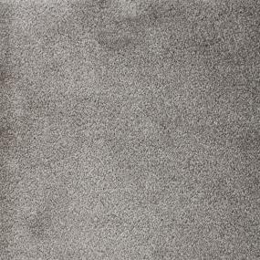 Plush Saxony Chrome Gray Carpet