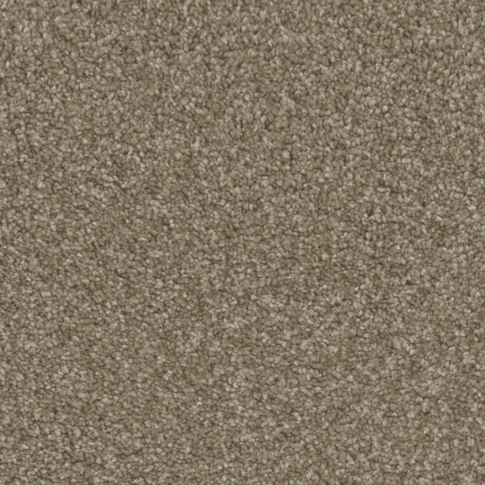 Texture Notable Beige/Tan Carpet