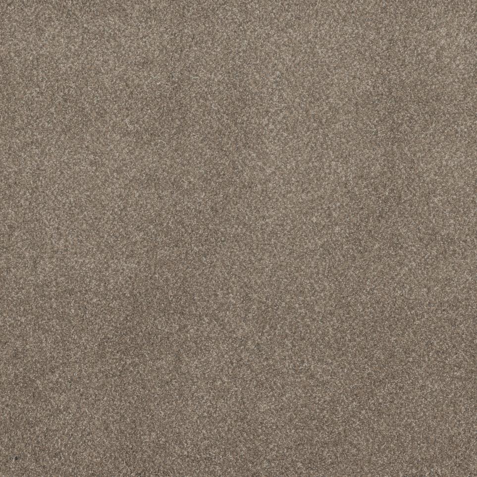 Texture Coastal Brown Carpet