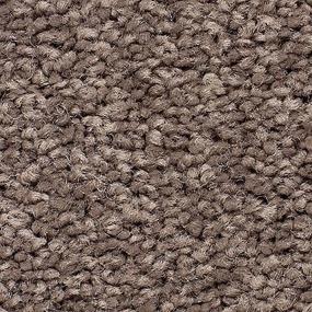 Textured Saxony Native Soul Brown Carpet