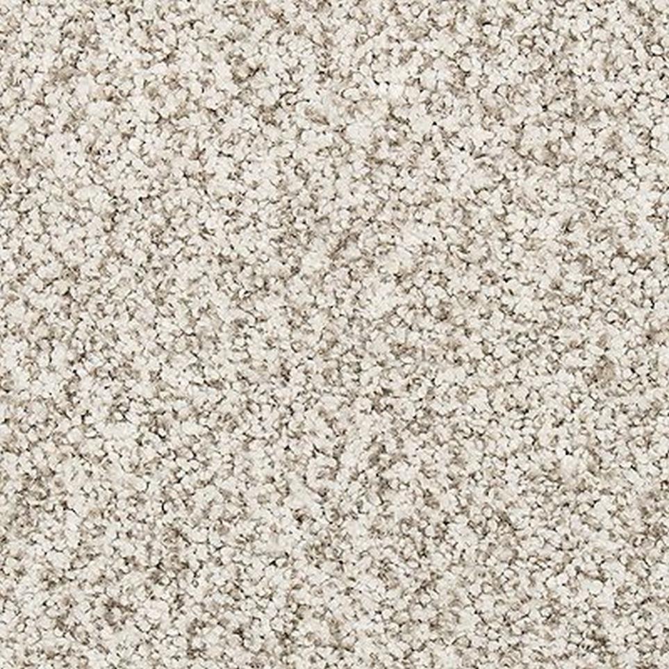 Textured Saxony Fusion Beige/Tan Carpet