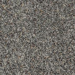 Textured Saxony Vienna Gray Carpet