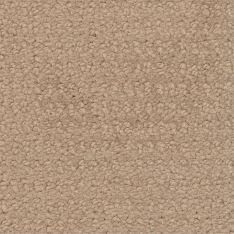 Pattern Brooks Wood Beige/Tan Carpet