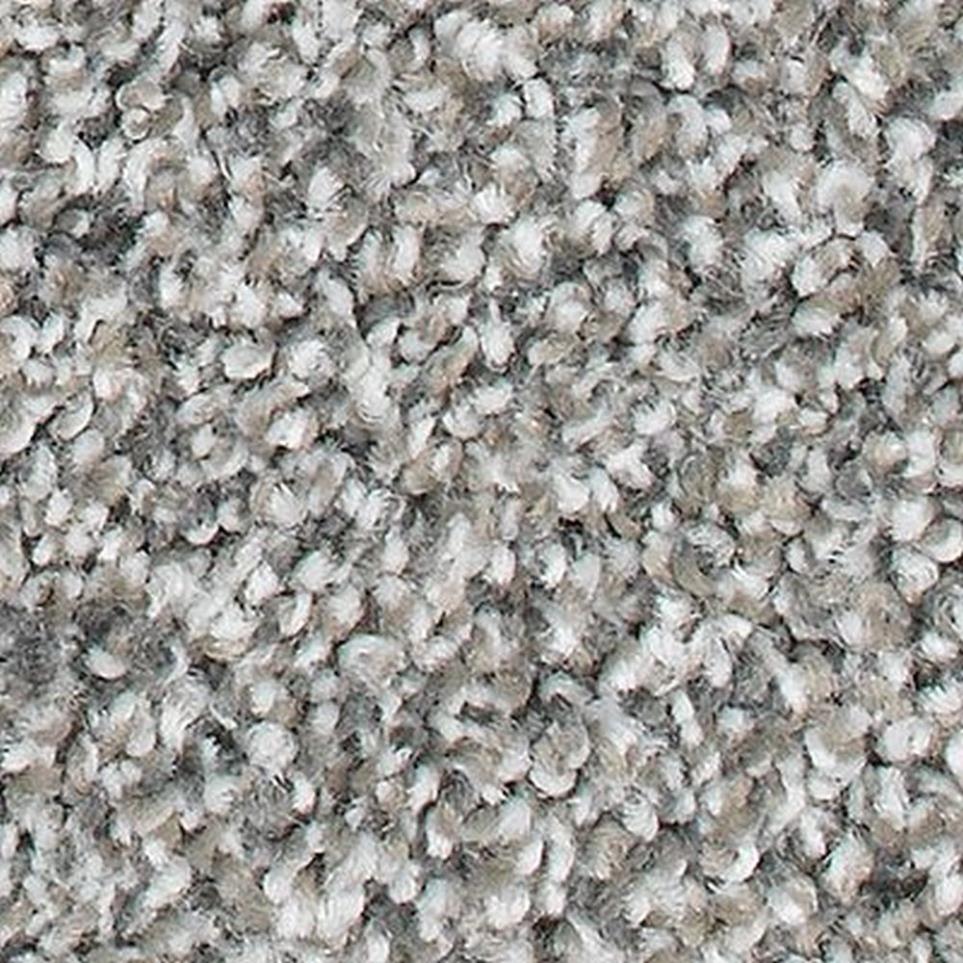 Textured Saxony Flannel Gray Carpet