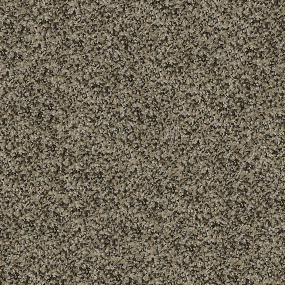 Plush Sahara Brown Carpet