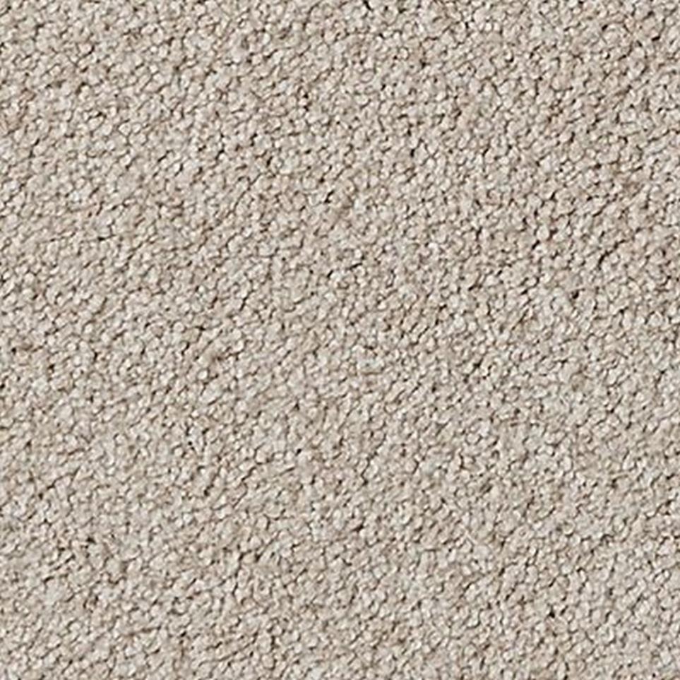 Textured Saxony Briarwood Gray Carpet