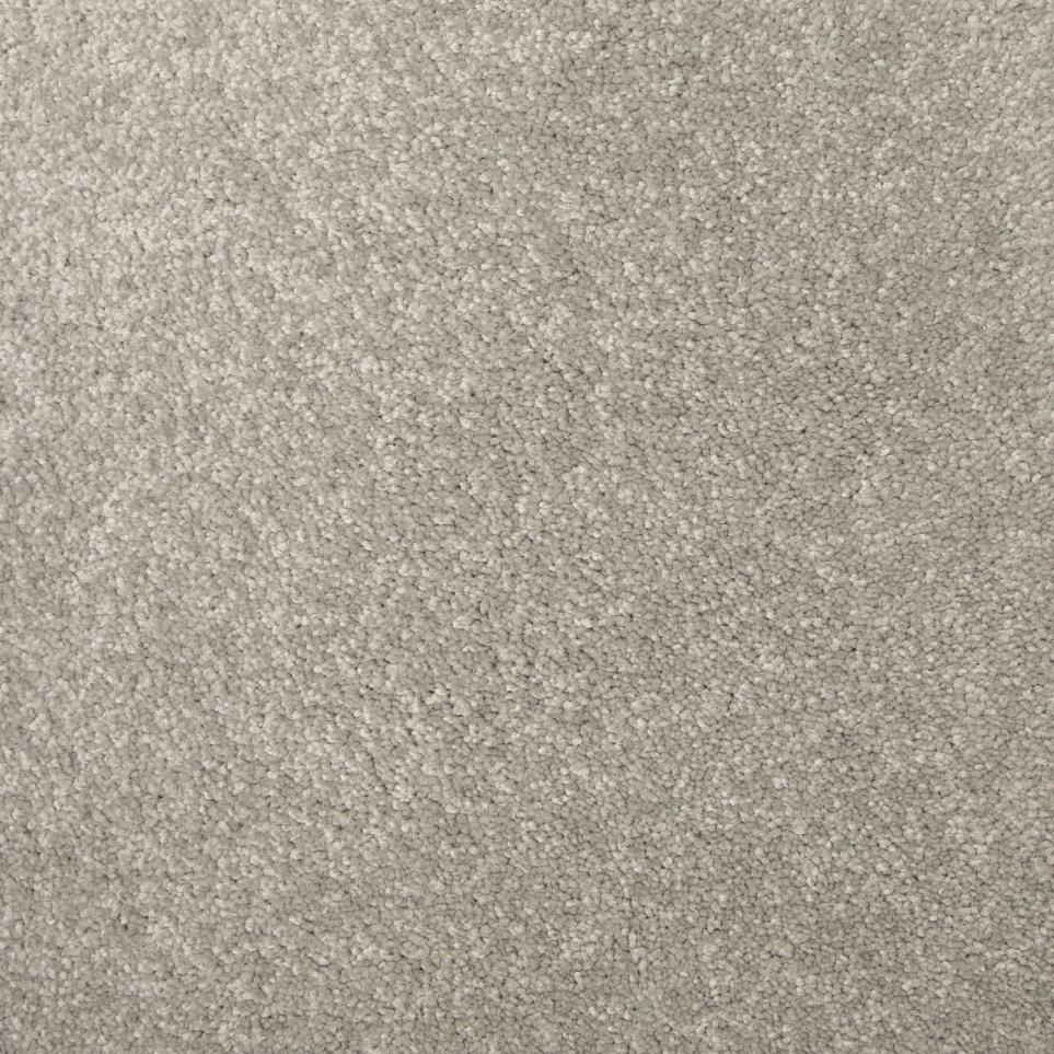 Texture Greige Beige/Tan Carpet