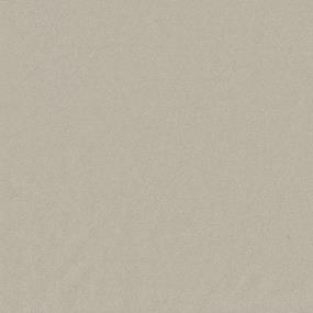 Textured Saxony Earthen Beige/Tan Carpet