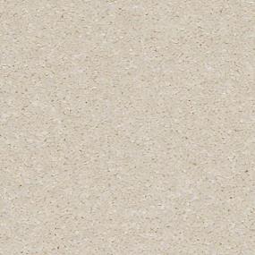 Texture Earthen Beige/Tan Carpet
