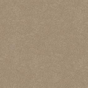 Textured Saxony Granola Beige/Tan Carpet