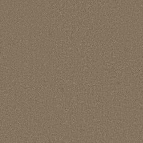 Textured Saxony Rodeo Brown Carpet