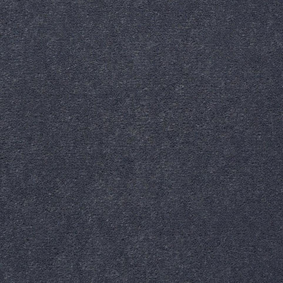 Cut Pile Dry Purple Blue Carpet