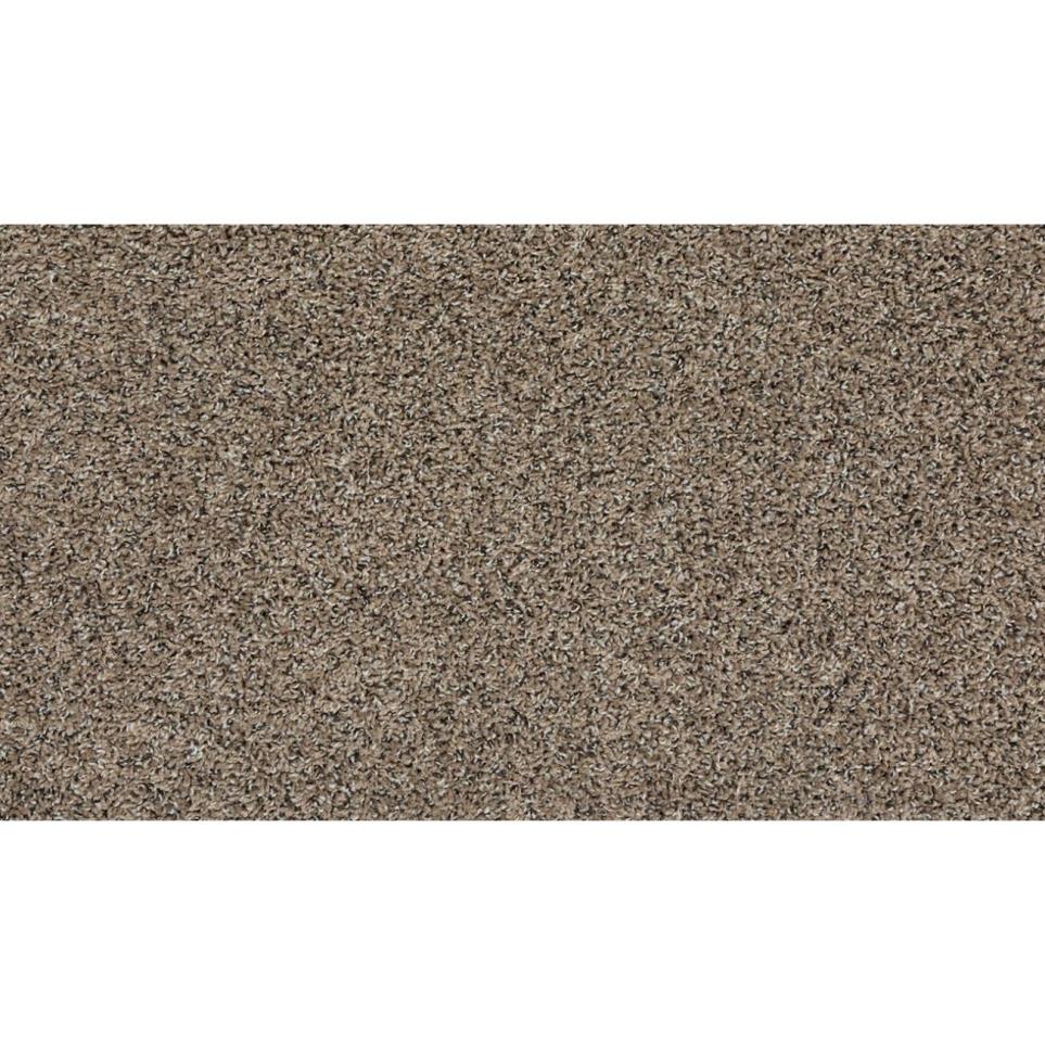 Textured Saxony Timber Trail Beige/Tan Carpet