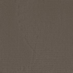 Pattern Griffin Brown Carpet