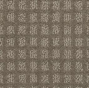 Pattern Griffin Brown Carpet