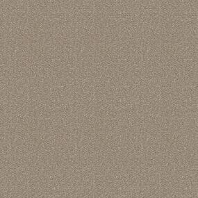 Plush Saxony Southern Comfort Beige/Tan Carpet