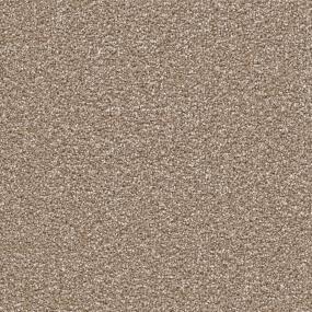 Plush Saxony Southern Comfort Beige/Tan Carpet