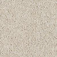 Textured Saxony Dusty Road Beige/Tan Carpet