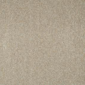 Berber Truffle Beige/Tan Carpet