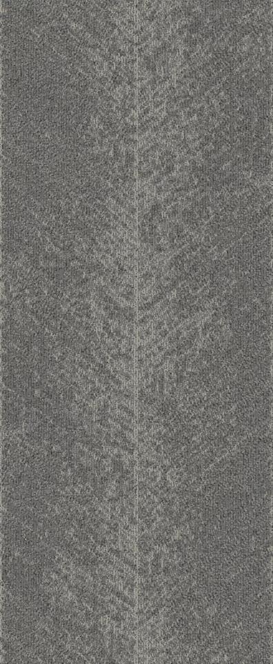Pattern Quest Gray Carpet