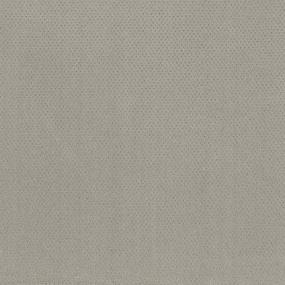Pattern Legendary Beige/Tan Carpet