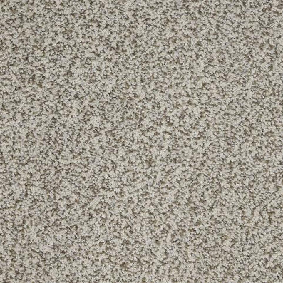 Textured Saxony Runnerup Gray Carpet