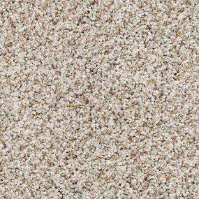 Textured Saxony Pristine Brown Carpet