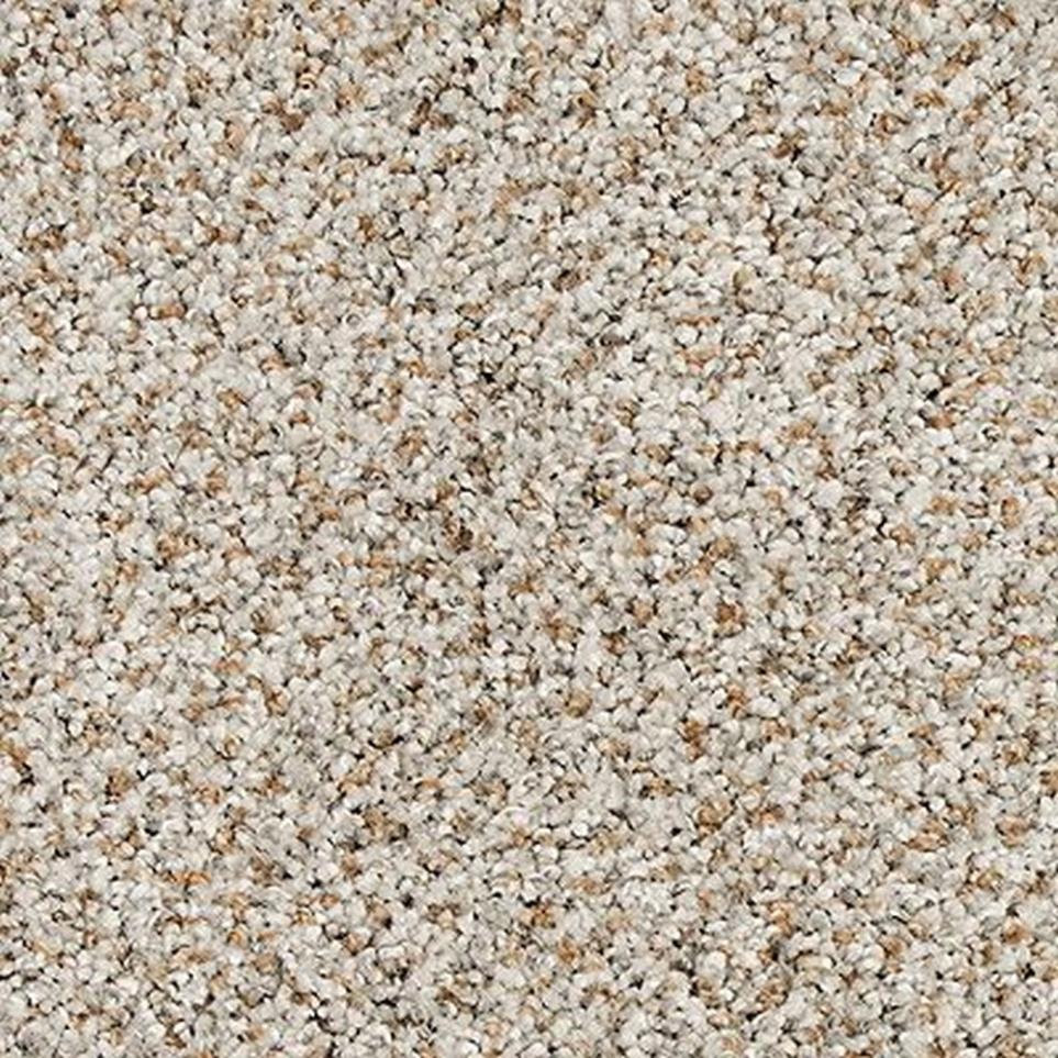 Textured Saxony Pristine Brown Carpet