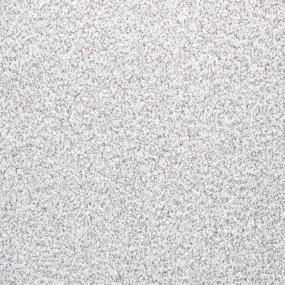 Textured Saxony Smooth Beige/Tan Carpet