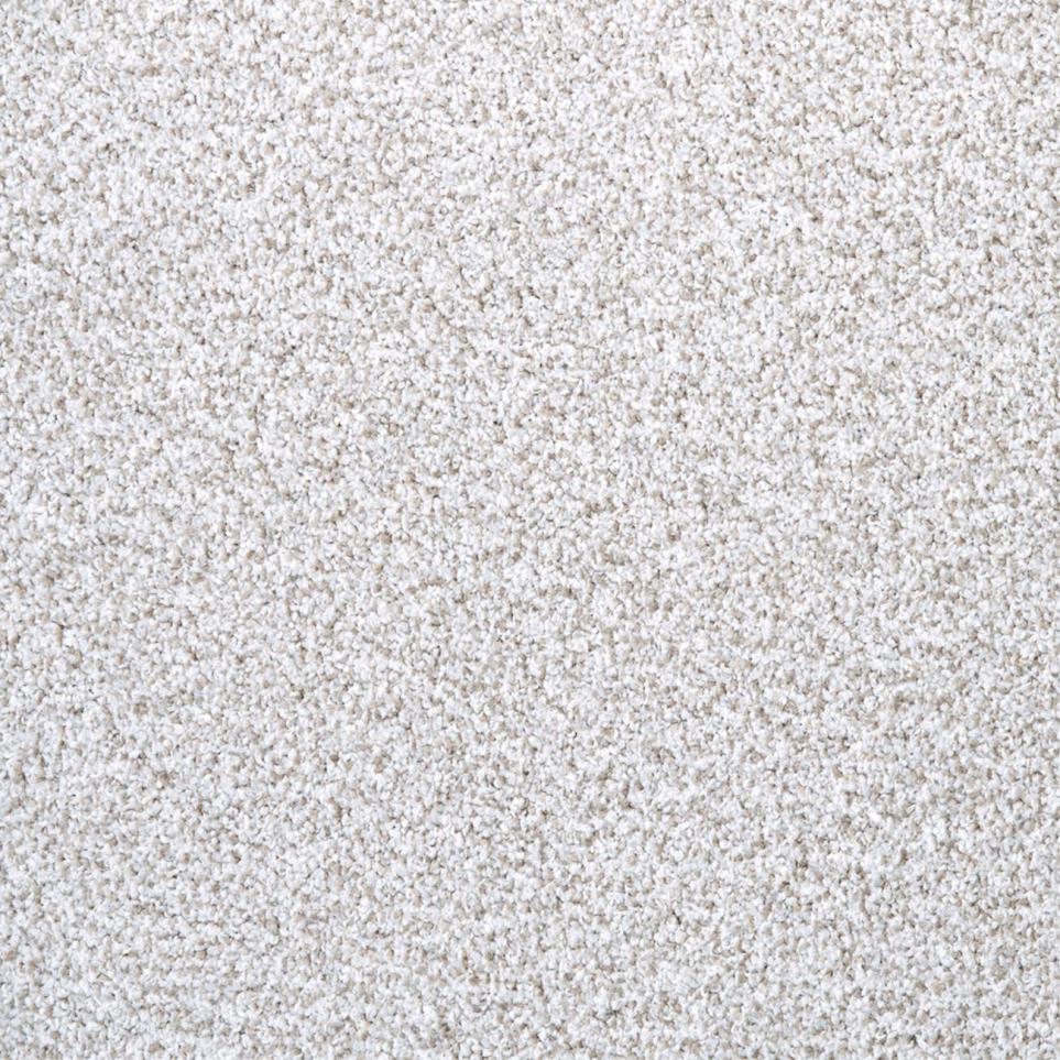 Textured Saxony Smooth Beige/Tan Carpet