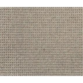 Pattern Stone Beige/Tan Carpet