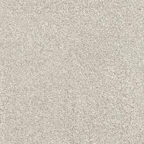 Textured Saxony Pomeranian Beige/Tan Carpet